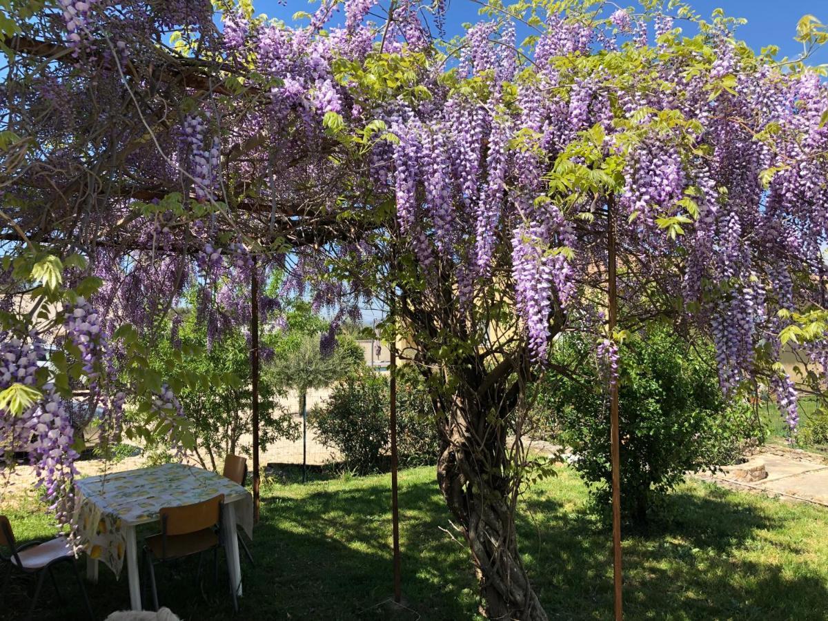 Gite Climatise Avec Piscine Sur Les Hauteurs De Bollène Exterior foto