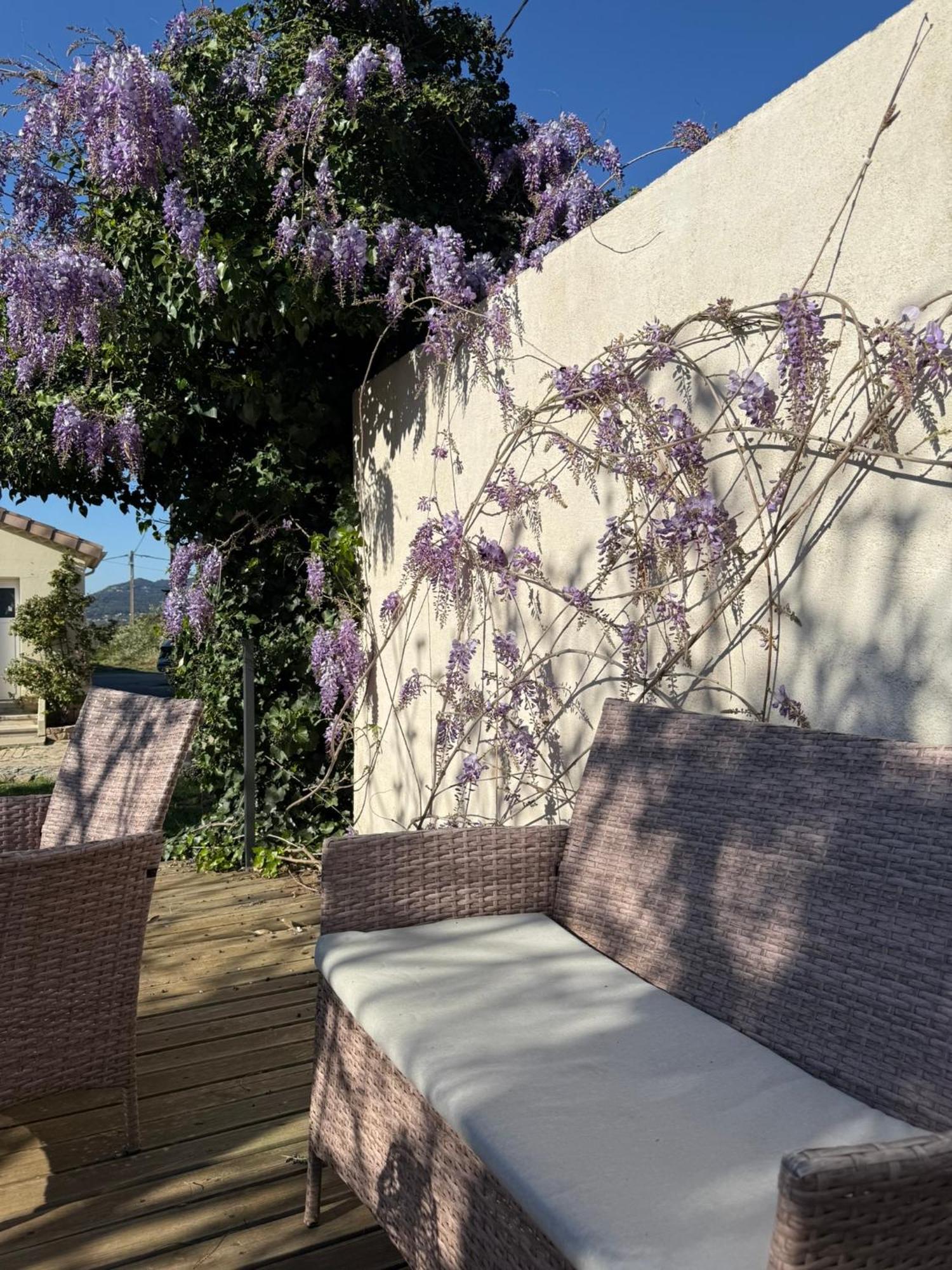 Gite Climatise Avec Piscine Sur Les Hauteurs De Bollène Exterior foto